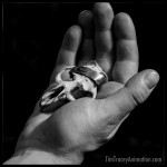 Tims_Hands_Holding_Skull_01-tag